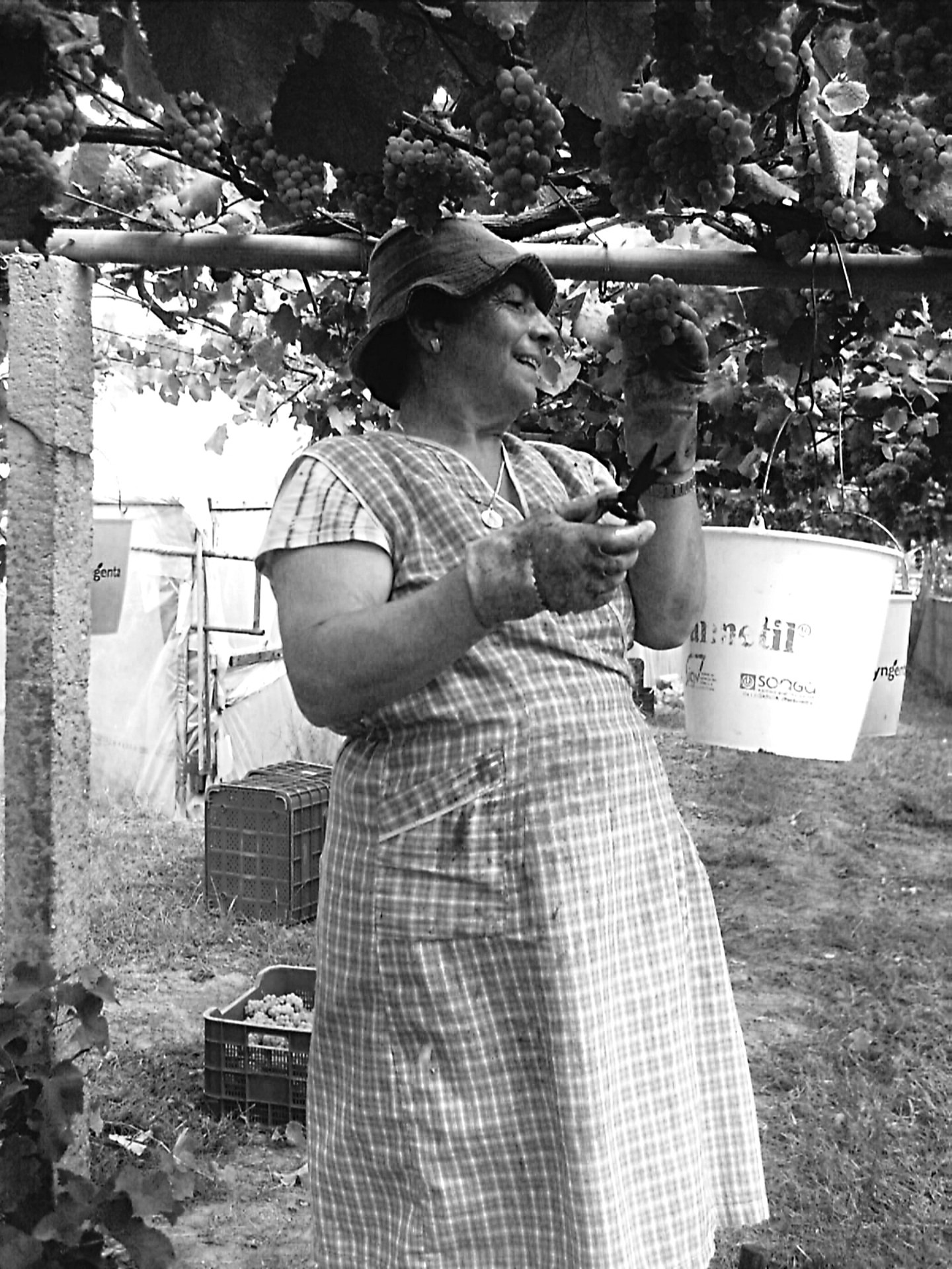 Carmen Núñez