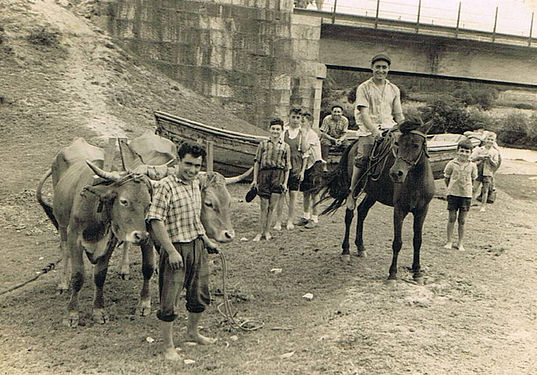 Labores en el campo cerca del puente del Río Umia (años 1950)